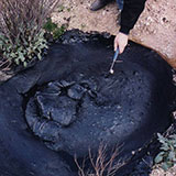  Tar 