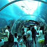  Aquarium 
