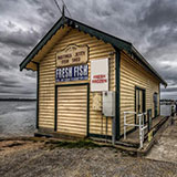  Bait Shop 