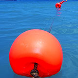  Buoys 