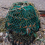  Lobster Pot 