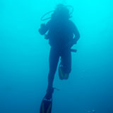  Scuba Diver 