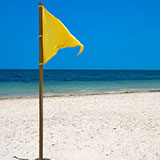  Signal Flag 