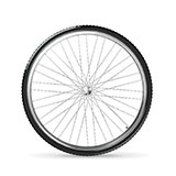 Bike Wheel 
