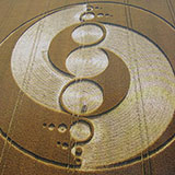  Crop Circles 