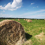  Hay Bales 