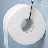  Toilet Roll 