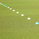  Training Cones 