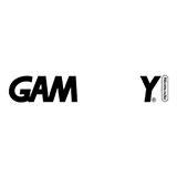  Gameboy 
