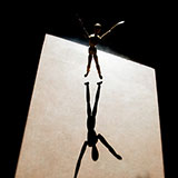  Shadow 