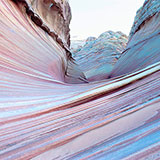  Sinuous 