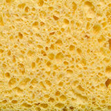  Sponge 