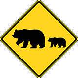  Migrating Bears 