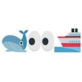  Whale Watching 