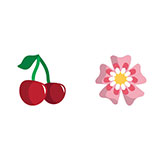  Cherry Blossom 