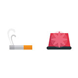  Smoke Alarm 