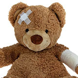  Teddy 