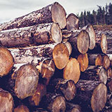  Timber 