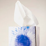  Tissues 