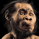  Homo Naledi 
