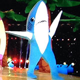  Superbowl Show 
