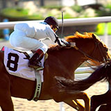  Horse Racing 