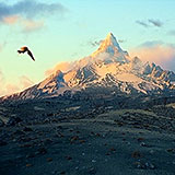  Lonely Mountain 