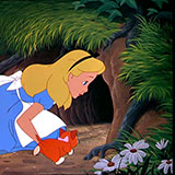  Rabbit Hole 