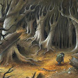  Wild Wood 