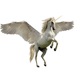  Unicorn 