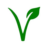  Vegetarian 
