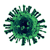  Virus 