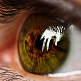  Vision 