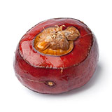  Water Chestnut 
