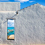  Whitewashed 