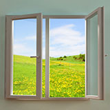  Window 