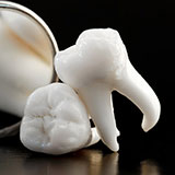  Wisdom Teeth 