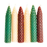  Beeswax 