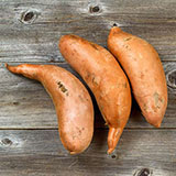  Yams 