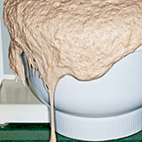  Yeast 