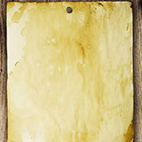  Yellowed 
