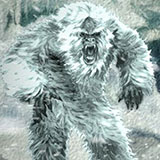  Yeti 