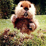  Caddyshack 