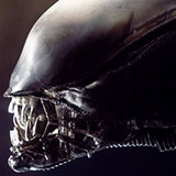  Alien 