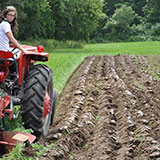  Furrows 