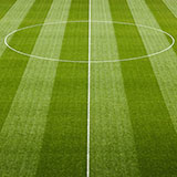  Soccer Pitch 