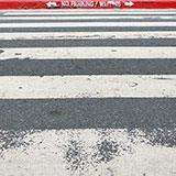  Zebra Crossing 