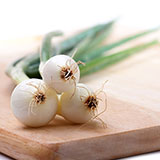  Scallions 