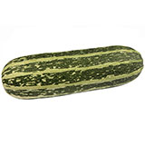  Squash 