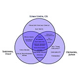  Blue Zones 